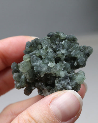 Dark Prehnite - Small