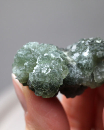 Dark Prehnite - Small