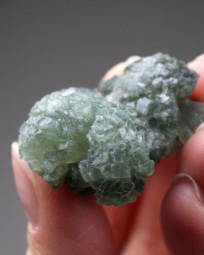 Dark Prehnite - Small